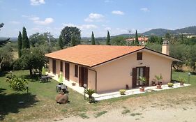 Agriturismo La Piantata